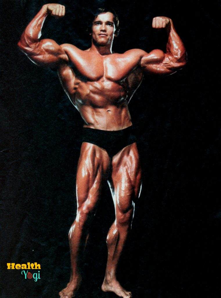 Arnold Schwarzenegger bodybuilder