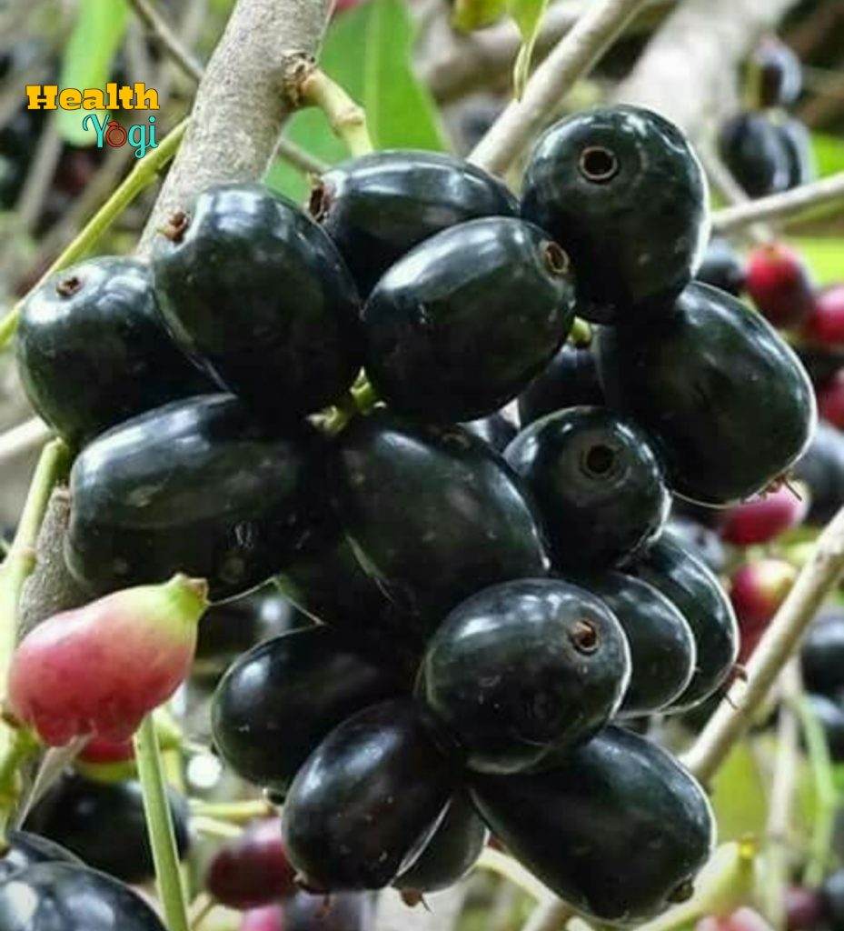Benefits of Jamun fruit for diabetes | Is black Jamun good for diabetes?