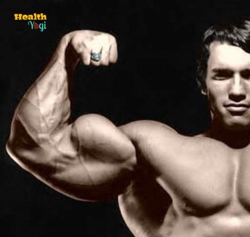 Arnold Schwarzenegger Arms Workout
