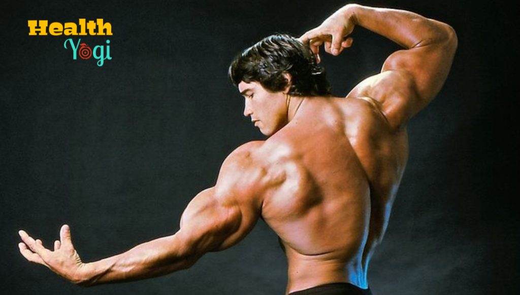 Arnold Schwarzenegger Fitness