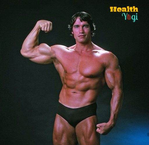 Arnold Schwarzenegger Full Body