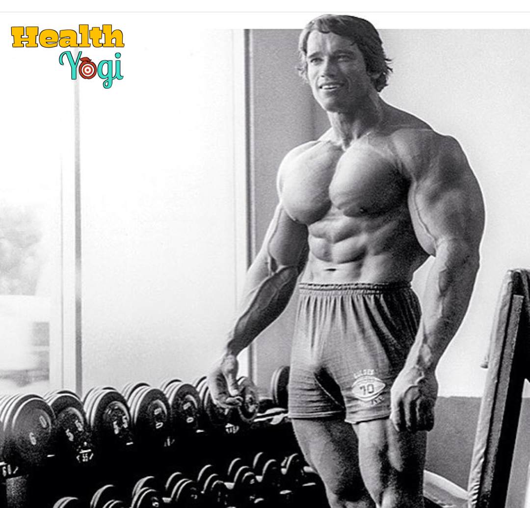  Arnold Schwarzenegger Bicep Workout for Gym
