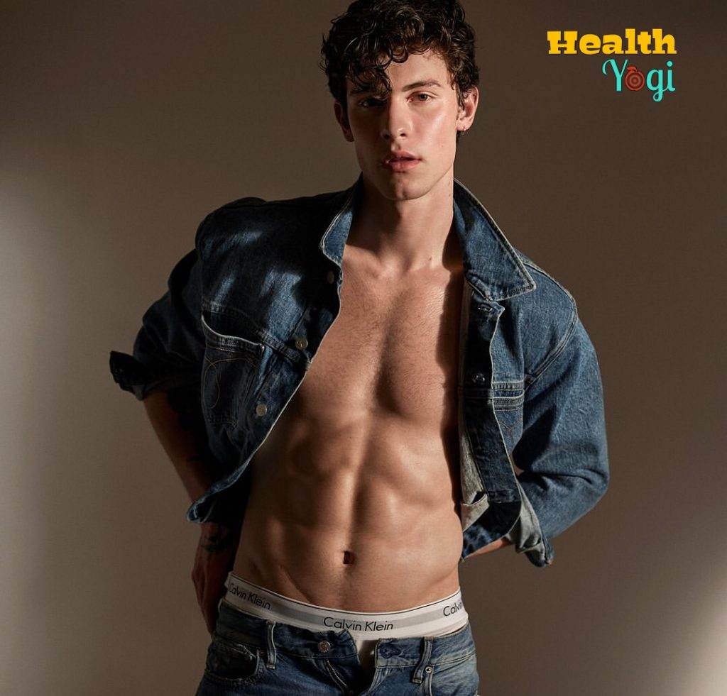 Shawn Mendes Workout Routine and Diet Plan