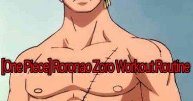 [One Piece] Roronao Zoro Workout Routine