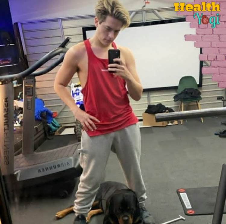 Dylan Sprouse Workout Routine 