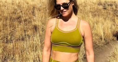 Ali Larter Weight Loss